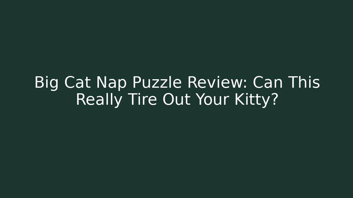 Big Cat Nap Puzzle Review: Can This Really Tire Out Your Kitty?