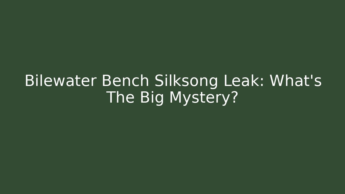 Bilewater Bench Silksong Leak: What's The Big Mystery?