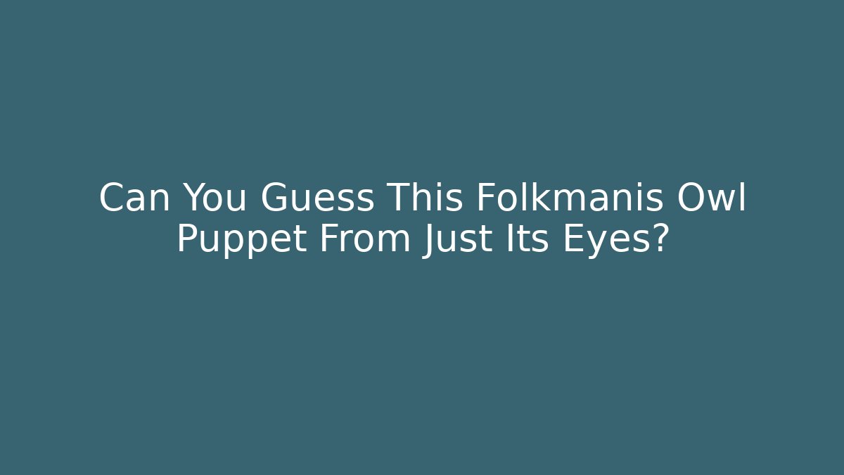 Can You Guess This Folkmanis Owl Puppet From Just Its Eyes?
