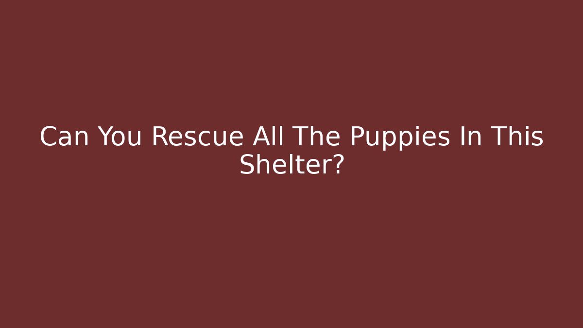 Can You Rescue All The Puppies In This Shelter?