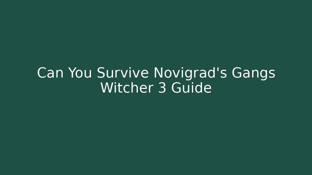 Can You Survive Novigrad's Gangs Witcher 3 Guide