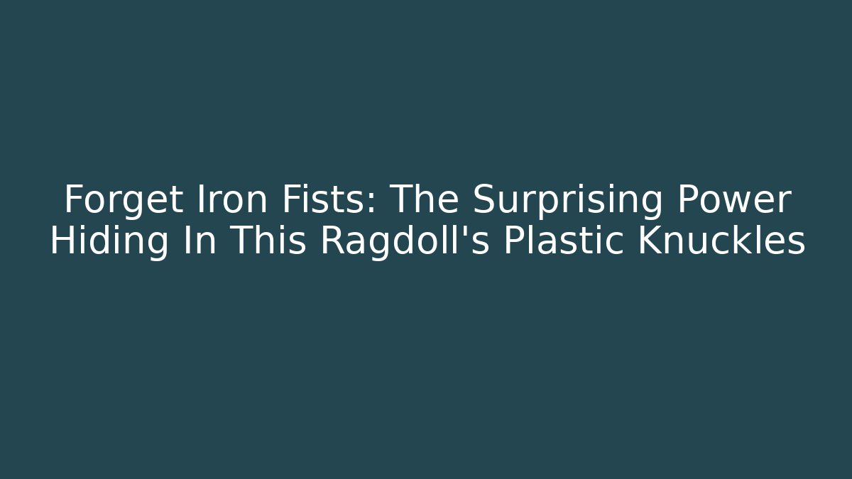 Forget Iron Fists: The Surprising Power Hiding In This Ragdoll's Plastic Knuckles