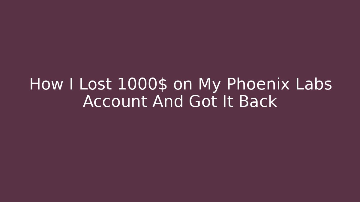 How I Lost 1000$ on My Phoenix Labs Account And Got It Back