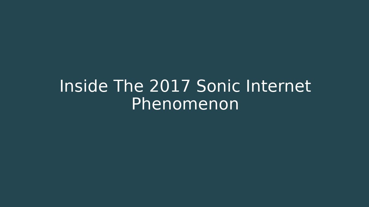 Inside The 2017 Sonic Internet Phenomenon