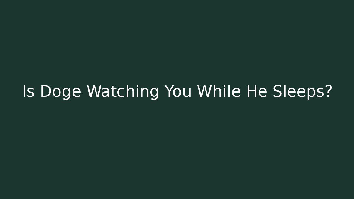 Is Doge Watching You While He Sleeps? - Smart Esu