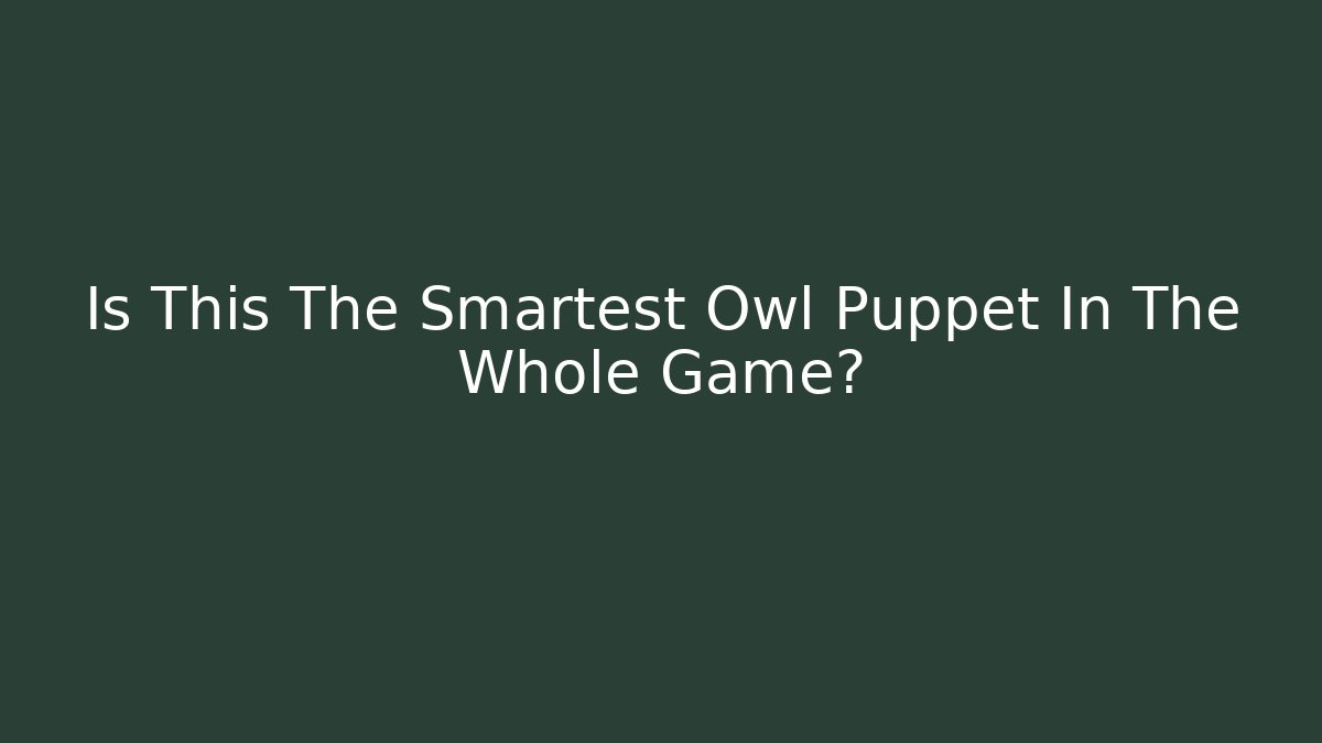 Is This The Smartest Owl Puppet In The Whole Game?