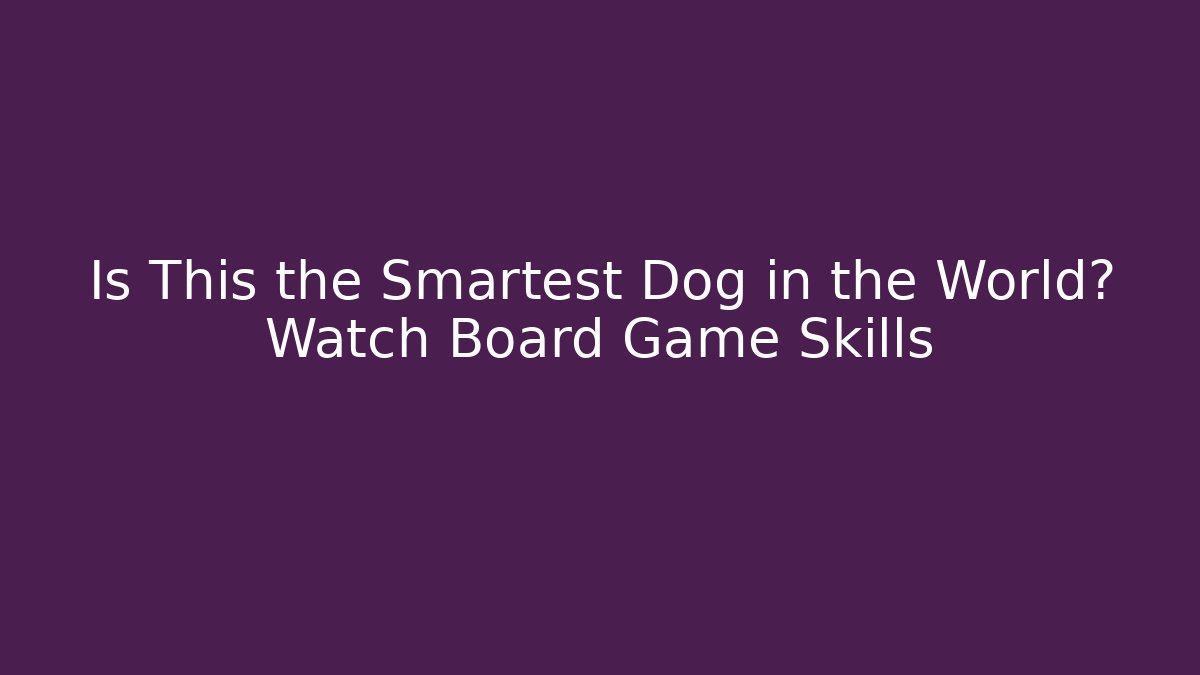 Is This the Smartest Dog in the World? Watch Board Game Skills
