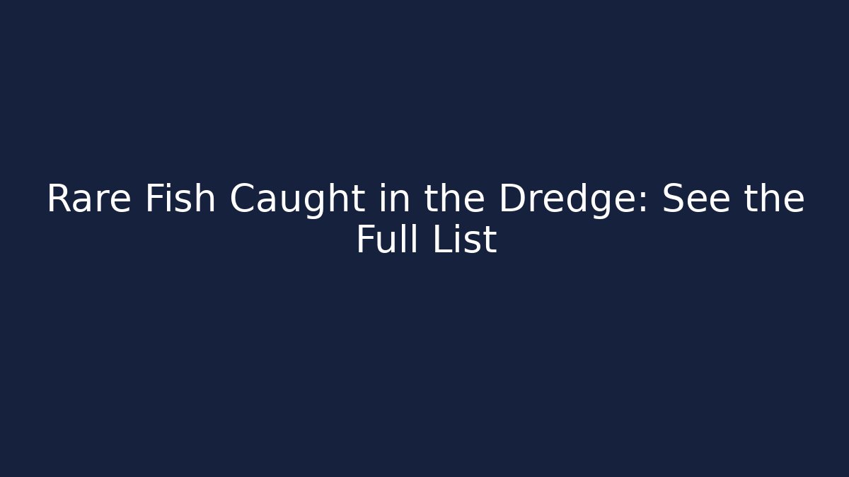 Rare Fish Caught in the Dredge: See the Full List