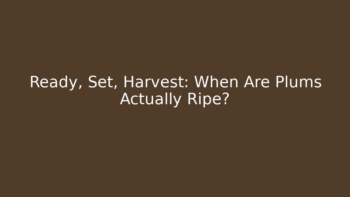 Ready, Set, Harvest: When Are Plums Actually Ripe? - Smart Esu