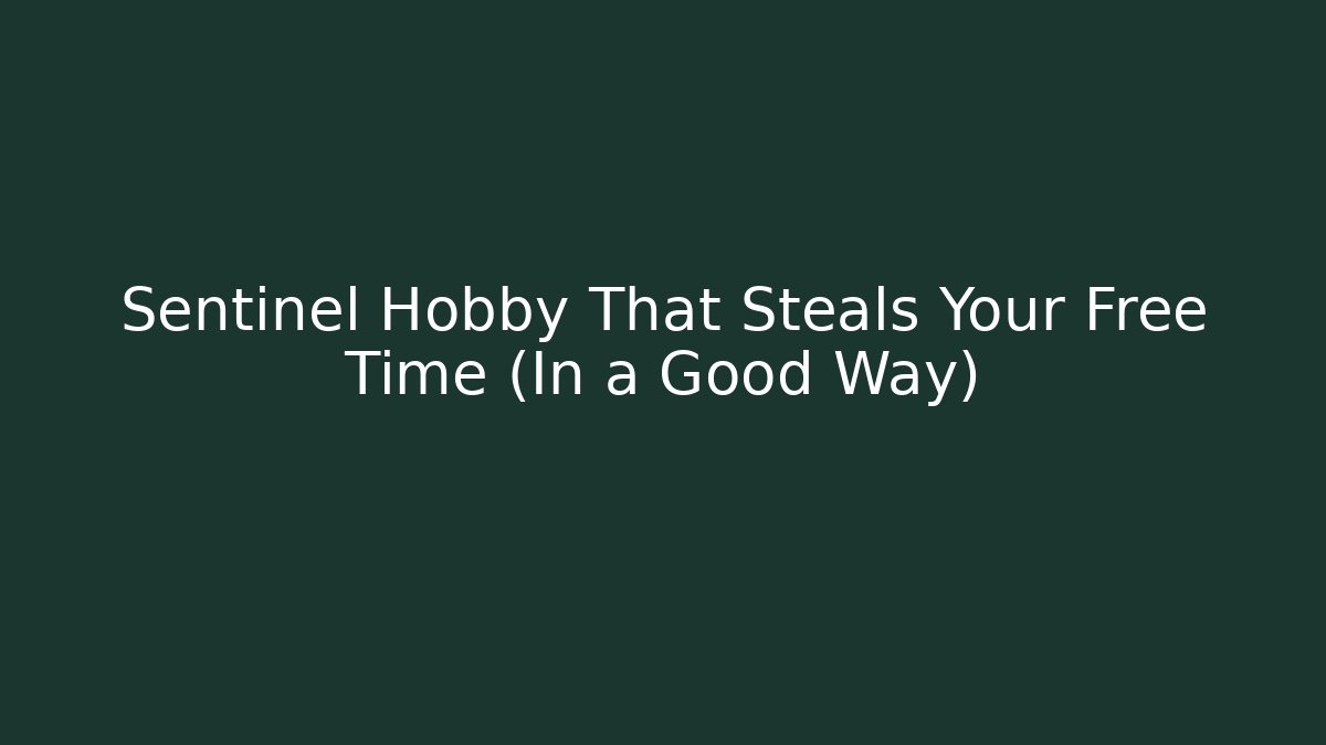 Sentinel Hobby That Steals Your Free Time (In a Good Way)