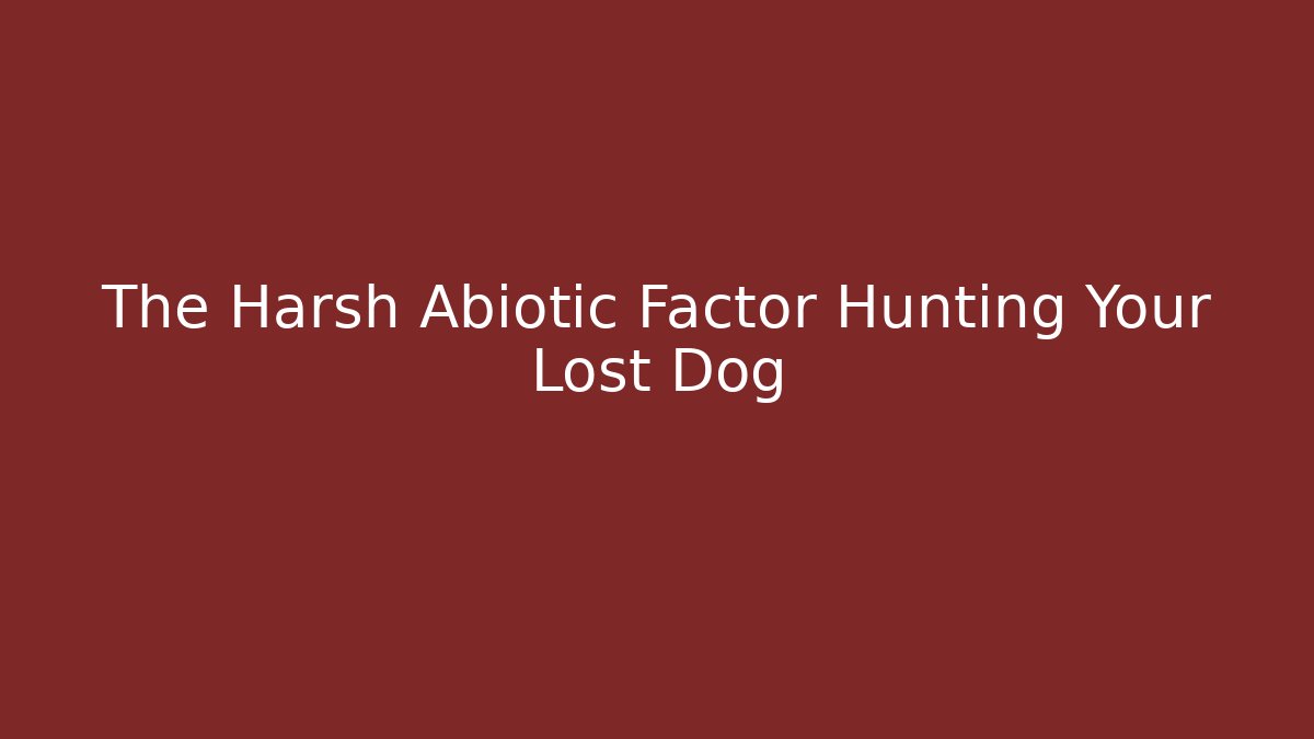 The Harsh Abiotic Factor Hunting Your Lost Dog