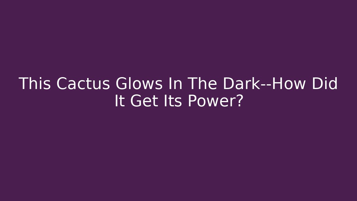 This Cactus Glows In The Dark—How Did It Get Its Power?