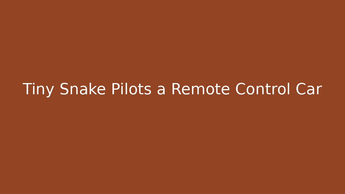 Tiny Snake Pilots a Remote Control Car