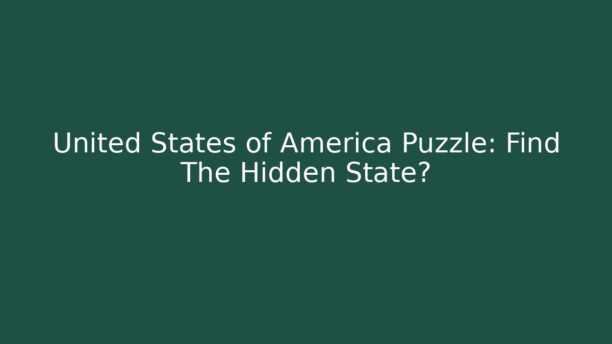 United States of America Puzzle: Find The Hidden State?