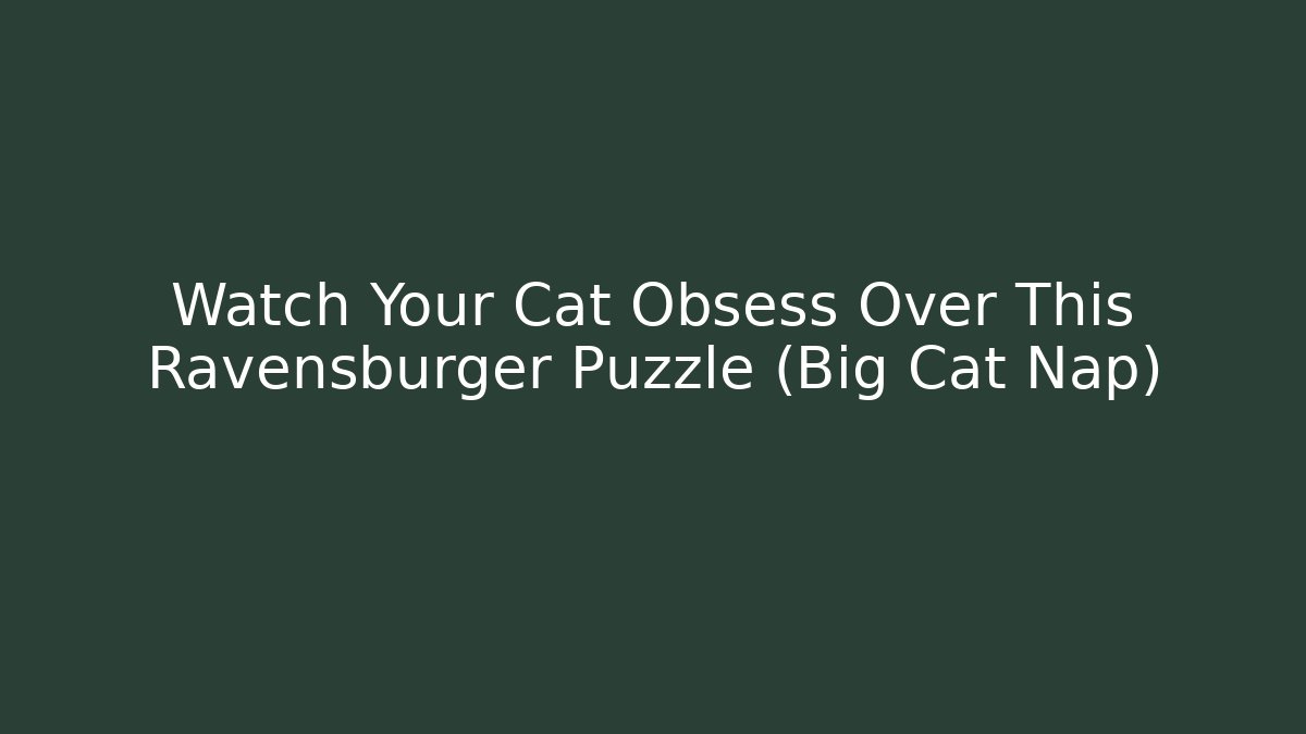 Watch Your Cat Obsess Over This Ravensburger Puzzle (Big Cat Nap)