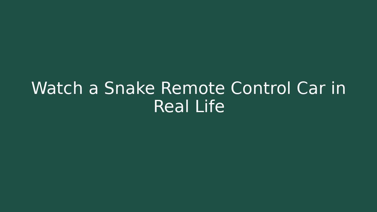 Watch a Snake Remote Control Car in Real Life