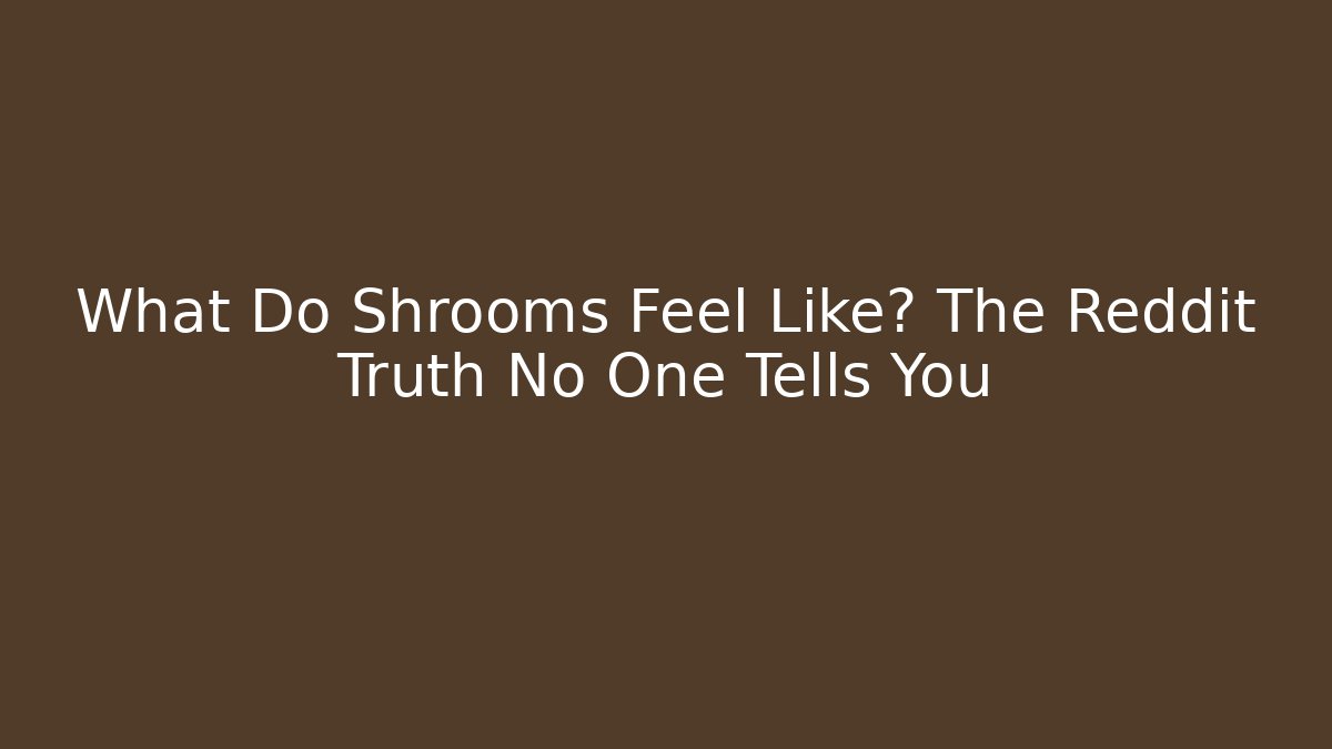 What Do Shrooms Feel Like? The Reddit Truth No One Tells You