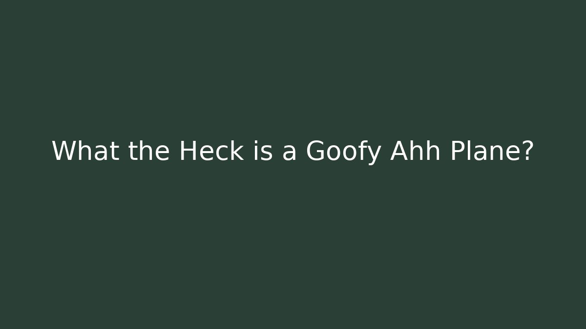 What the Heck is a Goofy Ahh Plane?
