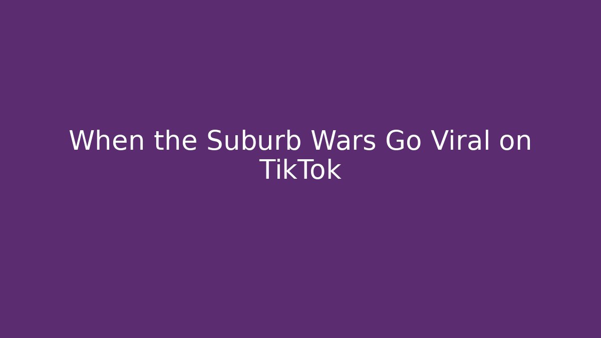 When the Suburb Wars Go Viral on TikTok