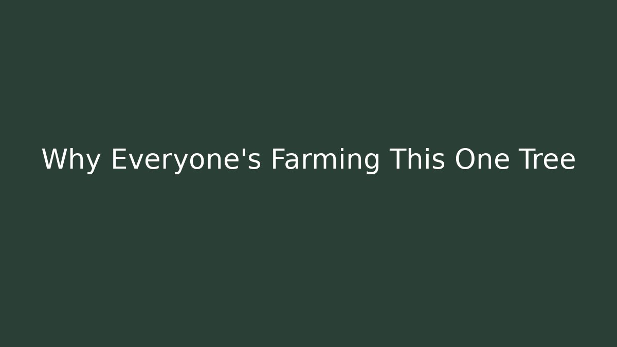 Why Everyone's Farming This One Tree