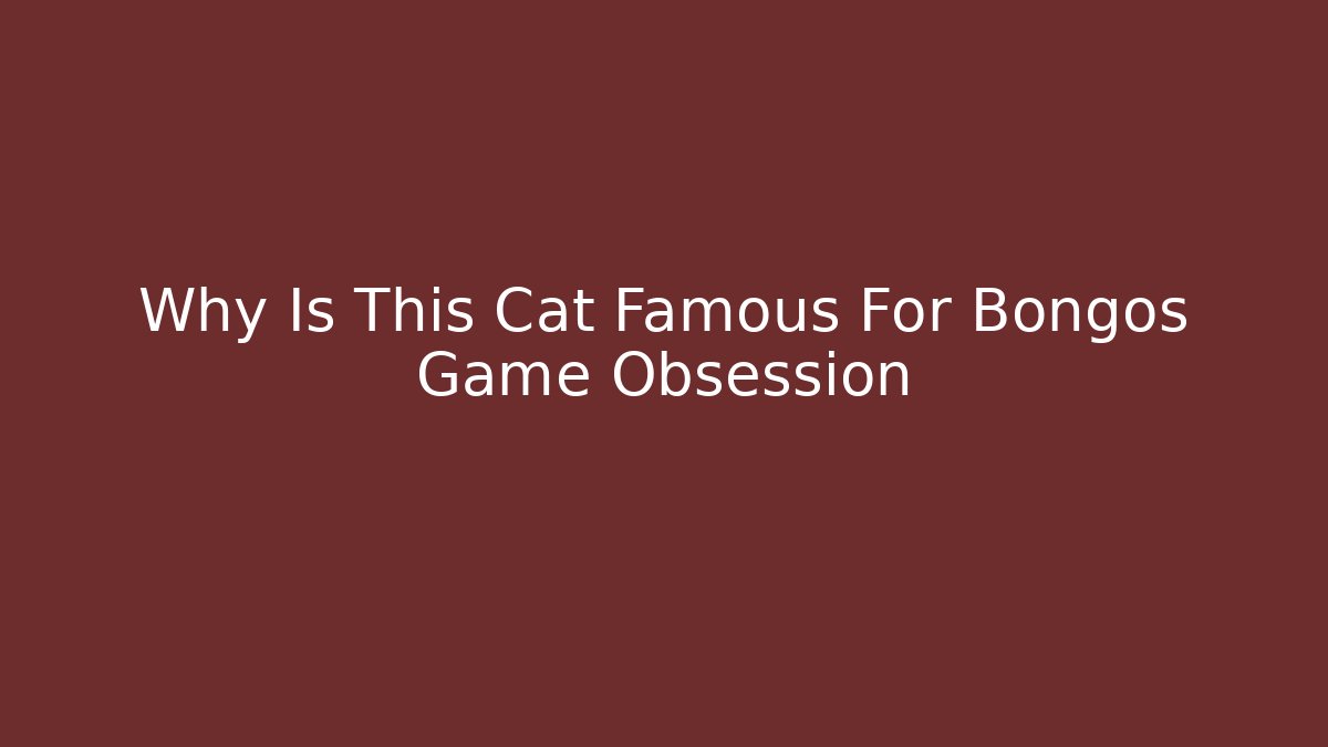 Why Is This Cat Famous For Bongos Game Obsession