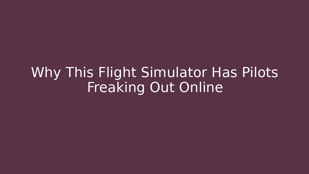Why This Flight Simulator Has Pilots Freaking Out Online