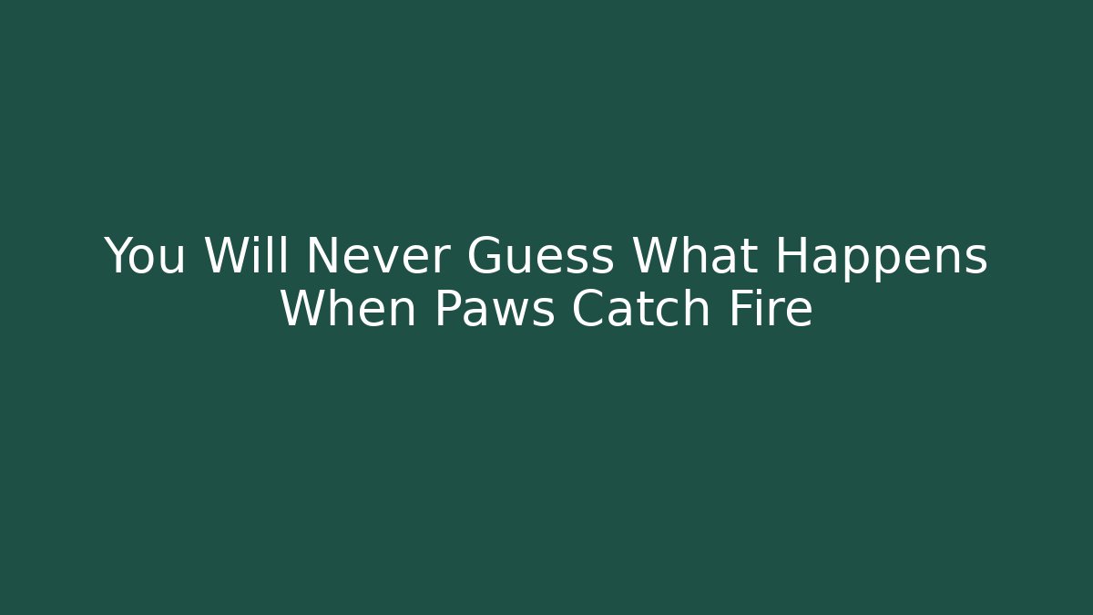 You Will Never Guess What Happens When Paws Catch Fire